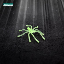 Load image into Gallery viewer, 50/100pcs Horror Mini Black Spider Simulation Tricky Toy Haunted House Fake Spider Web Bar Party Decoration Kids Halloween Decor